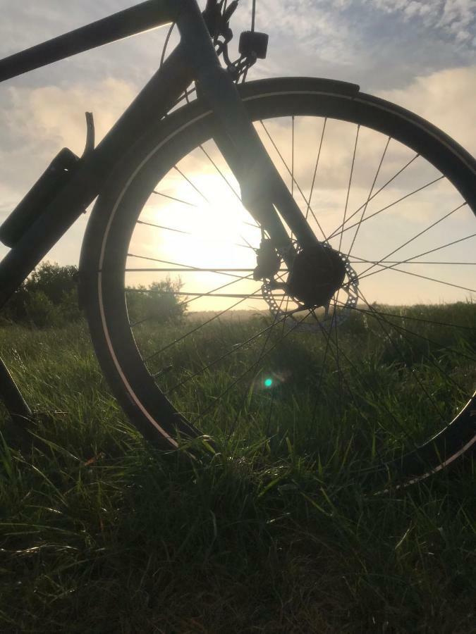 Deichblick Leilighet Cuxhaven Eksteriør bilde